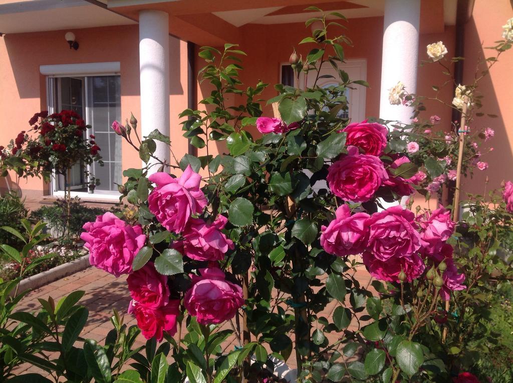 Apartments Brnada Umag Dış mekan fotoğraf